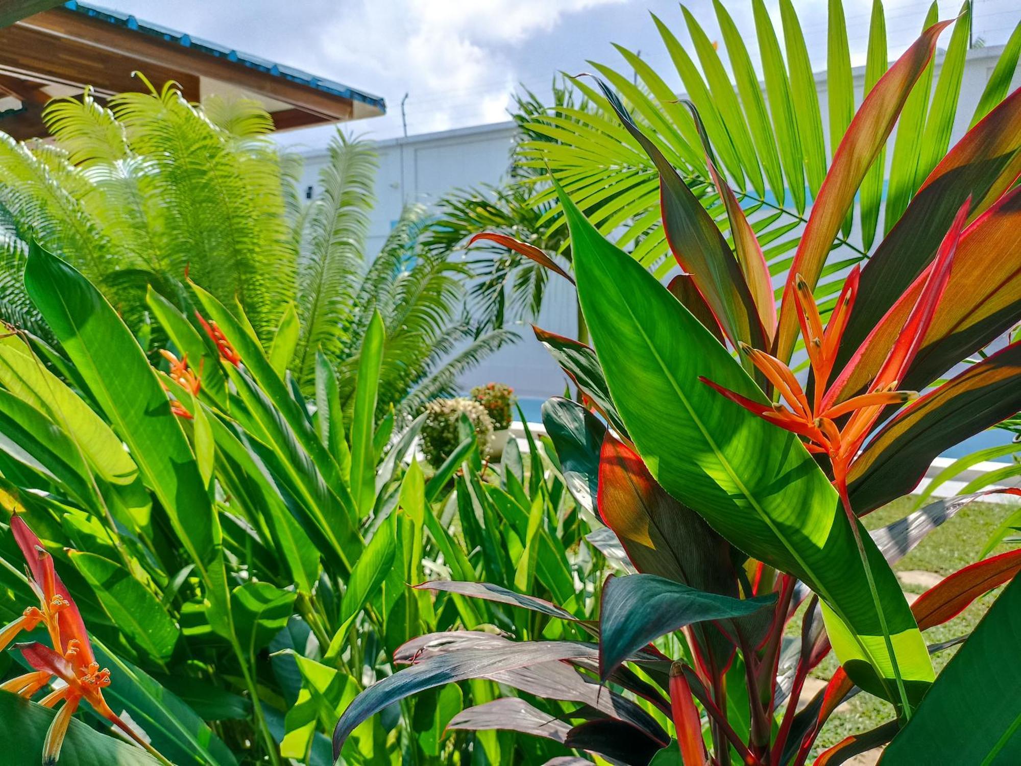 Appartement Morona Flats & Pool - 70 M2 à Iquitos Extérieur photo